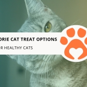 12 Low-Calorie Cat Treat Options for Healthy Cats