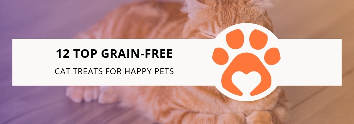 12 Top Grain-Free Cat Treats for Happy Cats