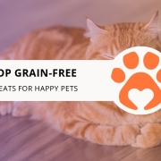 12 Top Grain-Free Cat Treats for Happy Cats
