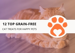 12 Top Grain-Free Cat Treats for Happy Cats