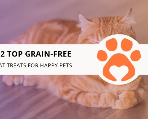 12 Top Grain-Free Cat Treats for Happy Cats
