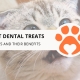 12 Best Dental Treats for Cats and Their Benefits