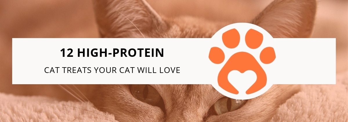 12 High-Protein Cat Treats Your Cat Will Love