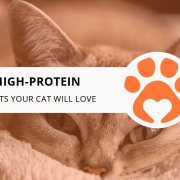 12 High-Protein Cat Treats Your Cat Will Love