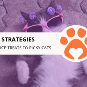 12 Strategies to Introduce Treats to Picky Cats