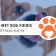 12 Best Wet Dog Foods to Keep Dogs Healthy