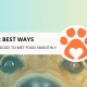 12 Best Ways to Transition Dogs to Wet Food Smoothly