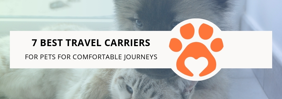 7 Best Travel Carriers for Pets for Comfortable Journeys