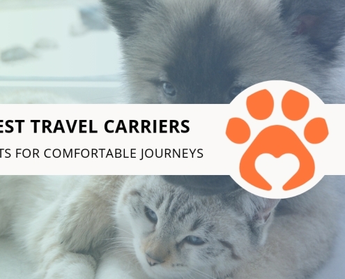 7 Best Travel Carriers for Pets for Comfortable Journeys