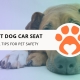 10 Best Dog Car Seat Travel Tips for Pet Safety