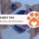 10 Best Tips for Cleaning Dog Car Seats Easily