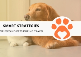 Smart Strategies for Feeding Pets During Travel