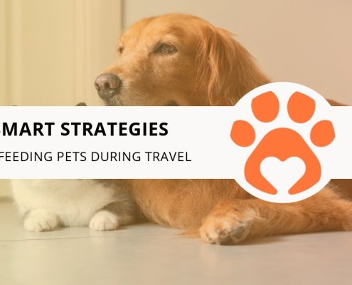 Smart Strategies for Feeding Pets During Travel