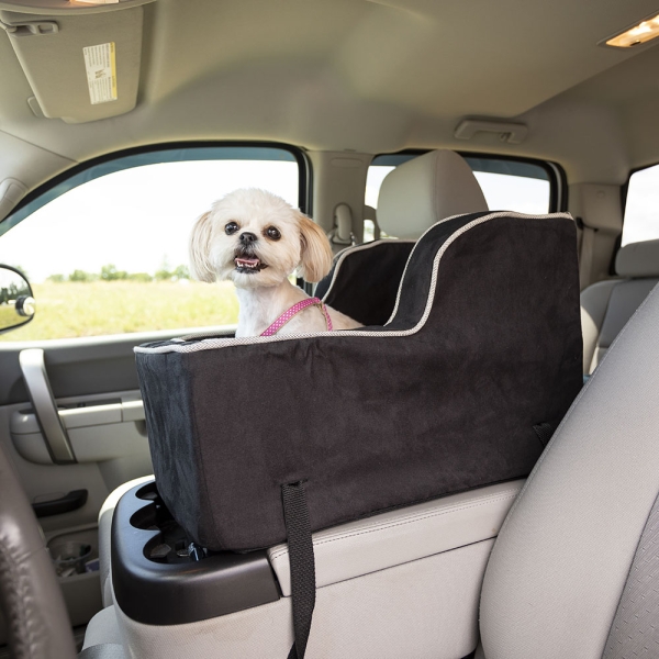 Avoid Feeding Right Before Travel