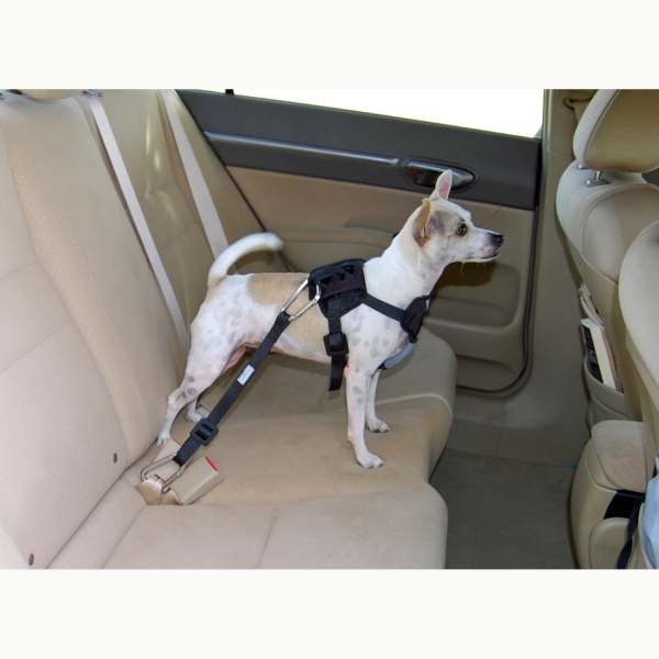Better for Car Safety