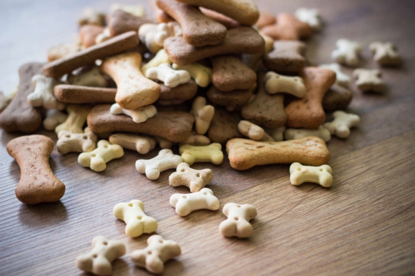 Carry Pet-Friendly Snacks