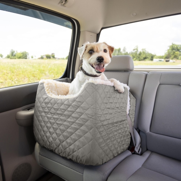 Elevated View with Booster Seat