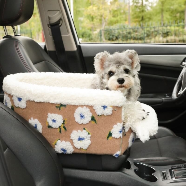 Include Familiar Blankets or Toys
