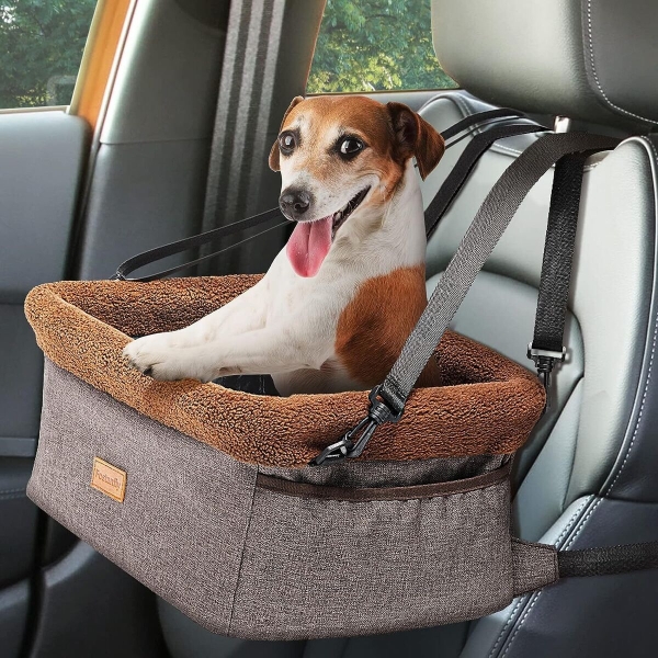 Introduce Your Dog to the Seat Gradually