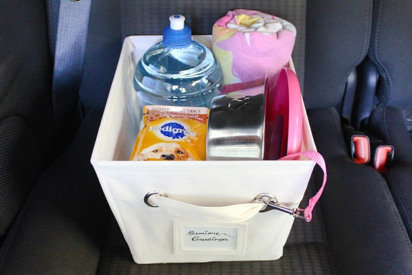Pet Car Organizer