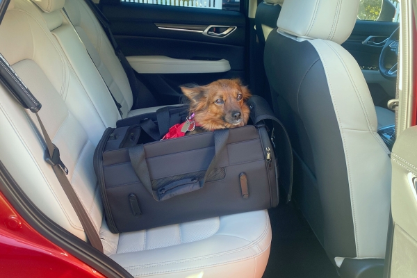Position Seat in the Back