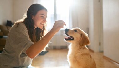 Dog owner training a puppy to sit at home using a treat reward
