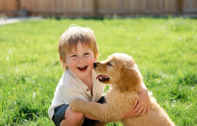 best family dogs playing with child outdoors in sunny backyard