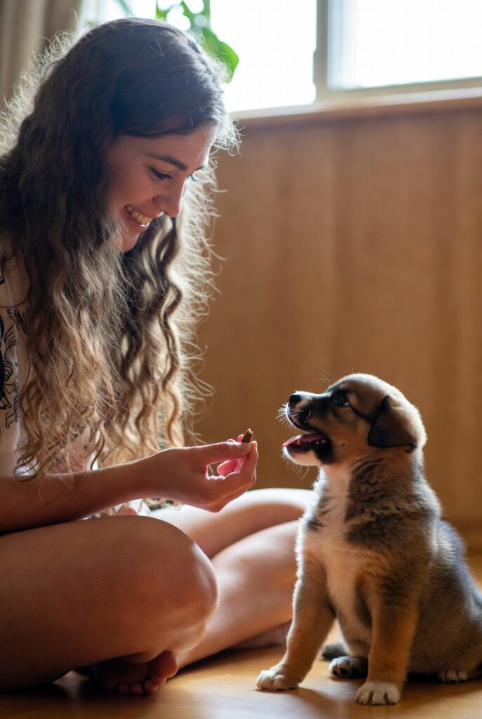 first-time owner doing positive reinforcement puppy care training at home