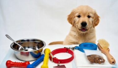 puppy essentials checklist items laid out for a new dog owner