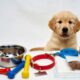 puppy essentials checklist items laid out for a new dog owner